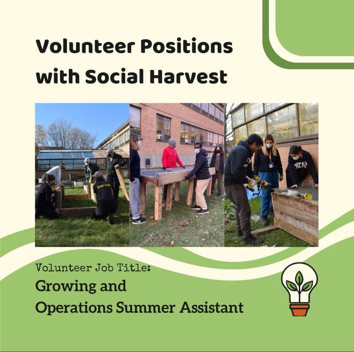Volunteer Positions with Social Harvest - East
