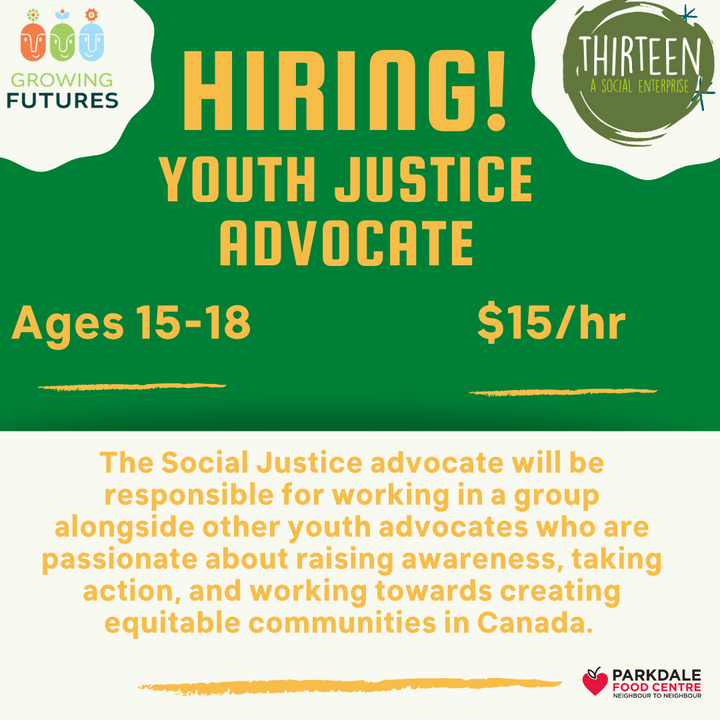 Youth Justice Advocate